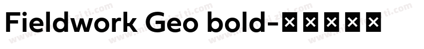 Fieldwork Geo bold字体转换